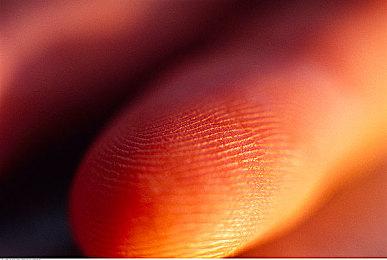 迫不及待的玩家自制了《塞尔达传说：旷野之息2》